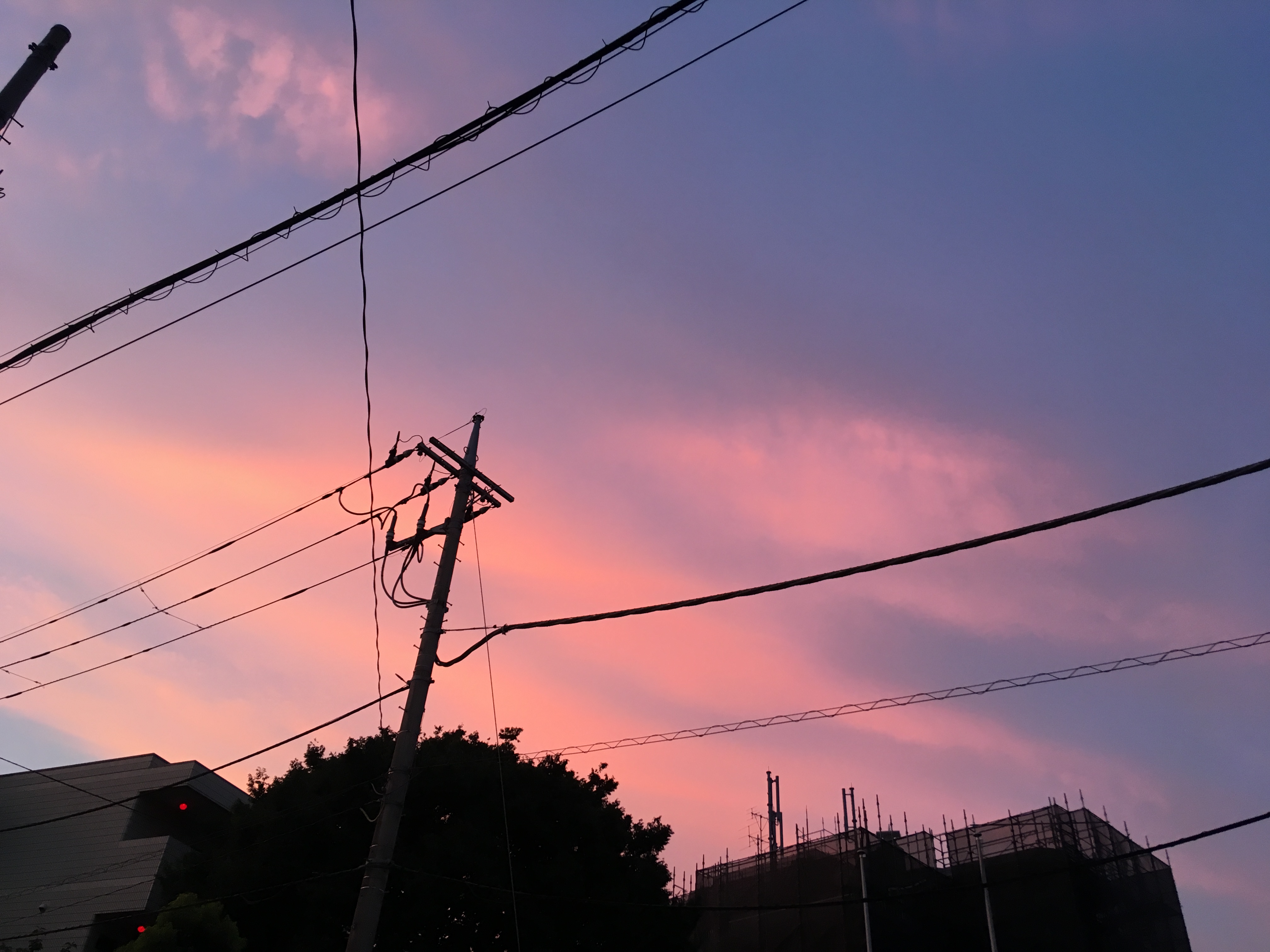 懐かしい顔ぶれ