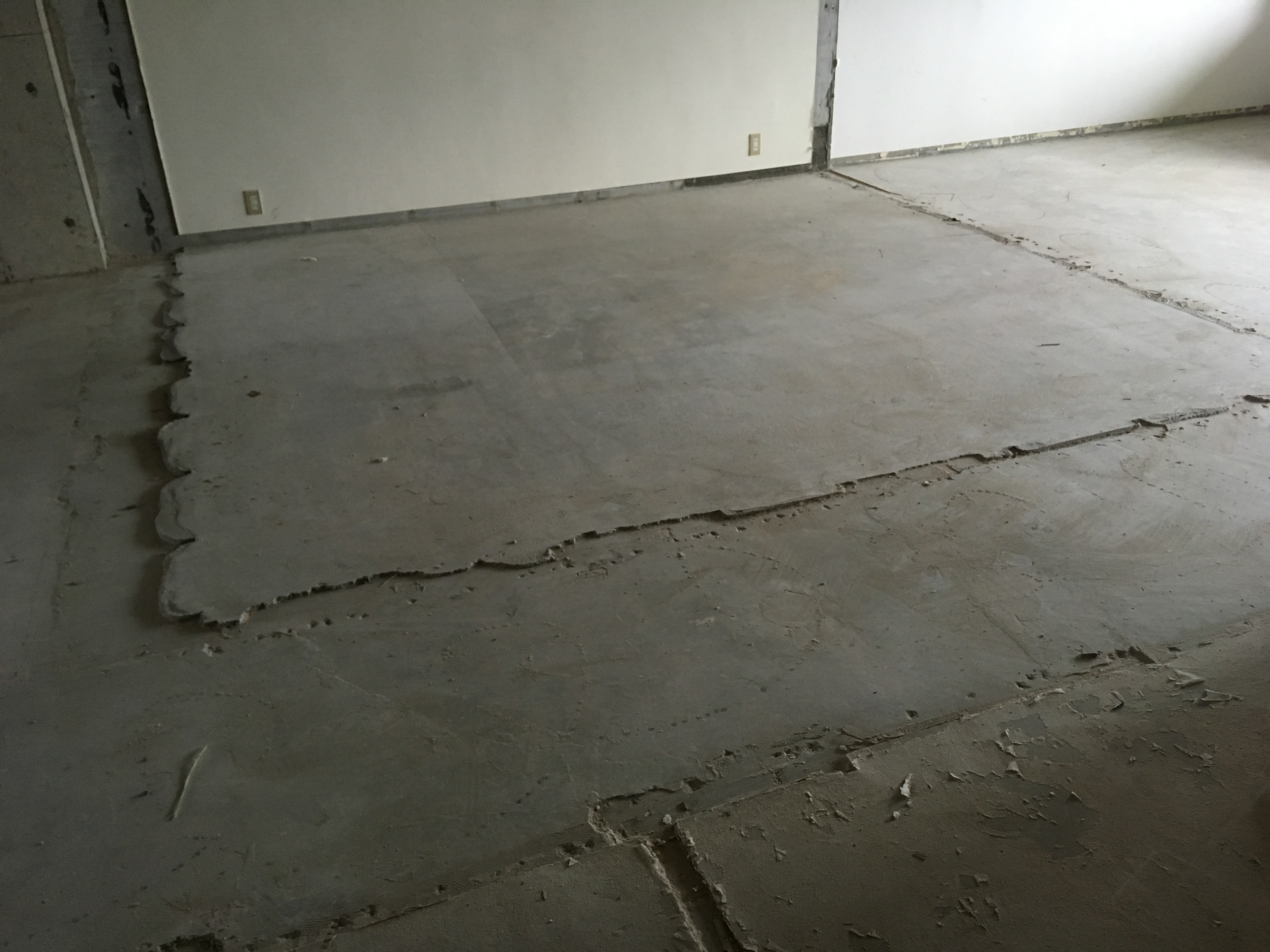 ほぼ、スケルトン！