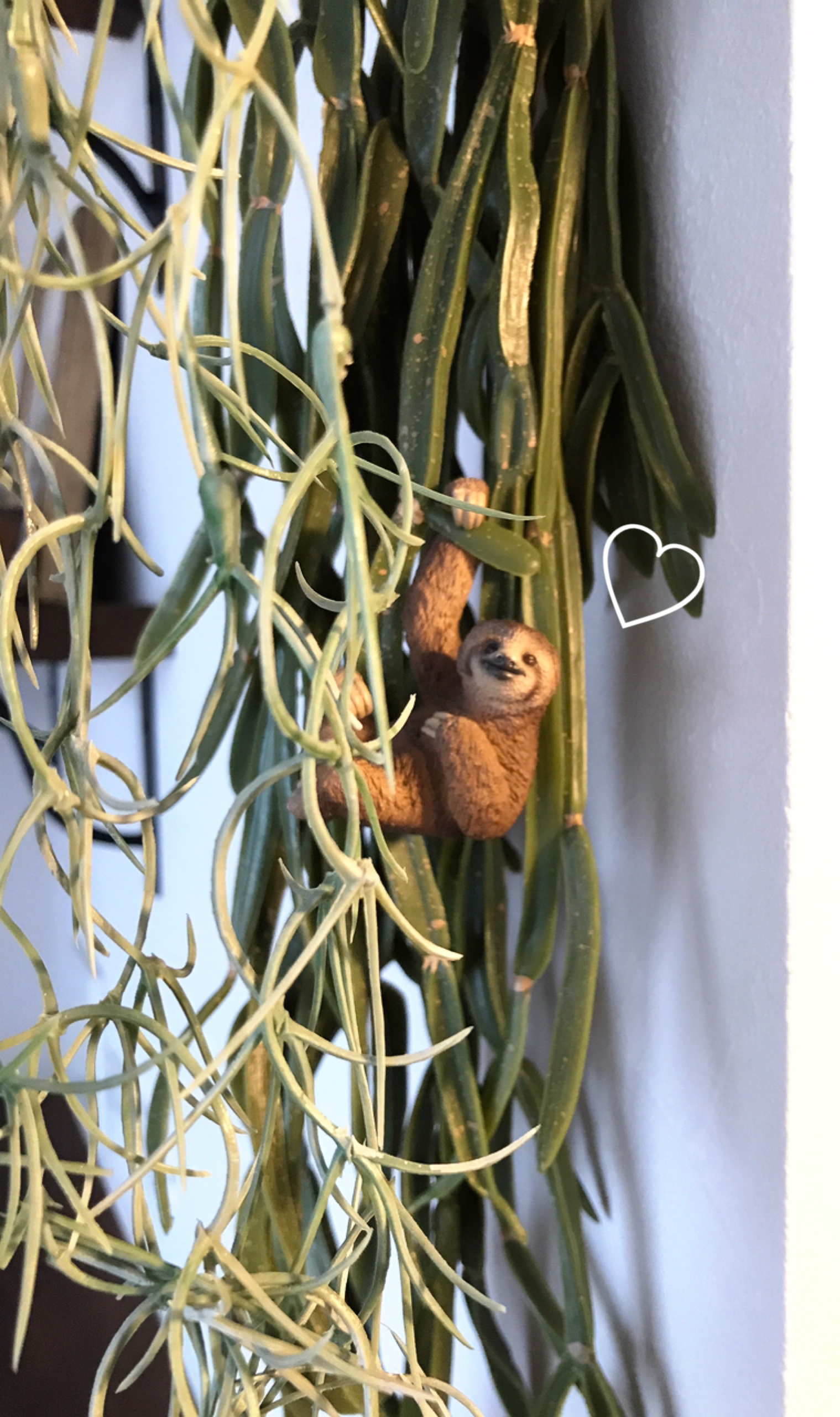 カメラマン撮影