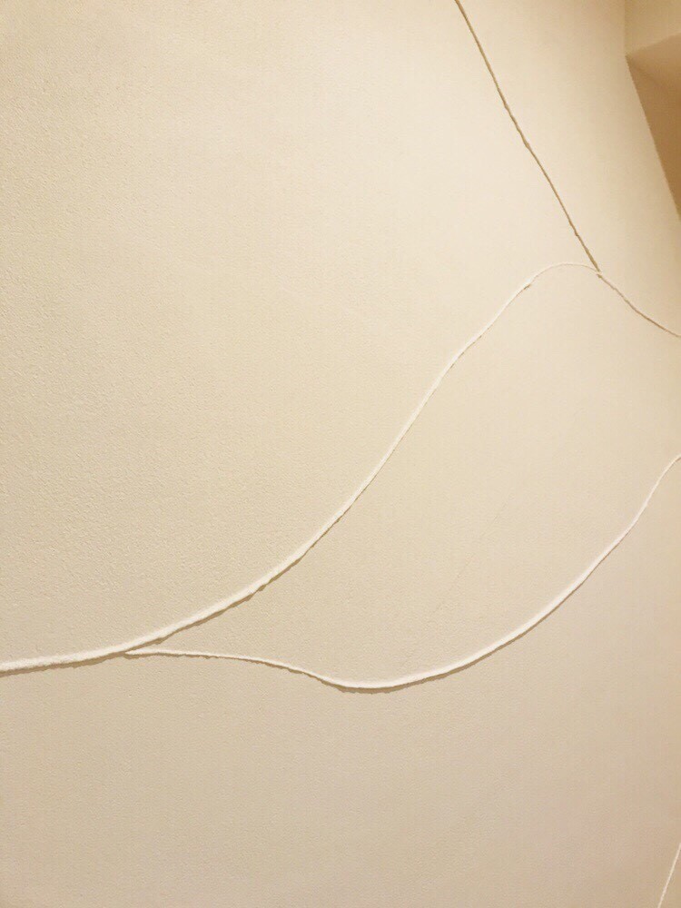 ＥＭ珪藻土～ウェーブ～