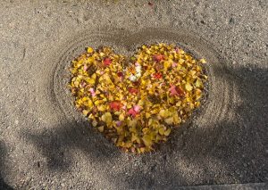 73DE03C7-C75C-40C2-B641-A47C58F8D7DF