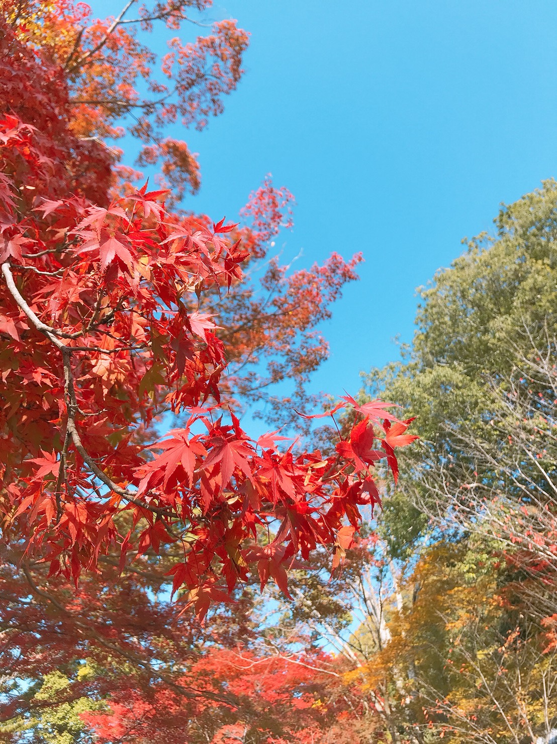 出雲大神宮へ…♡