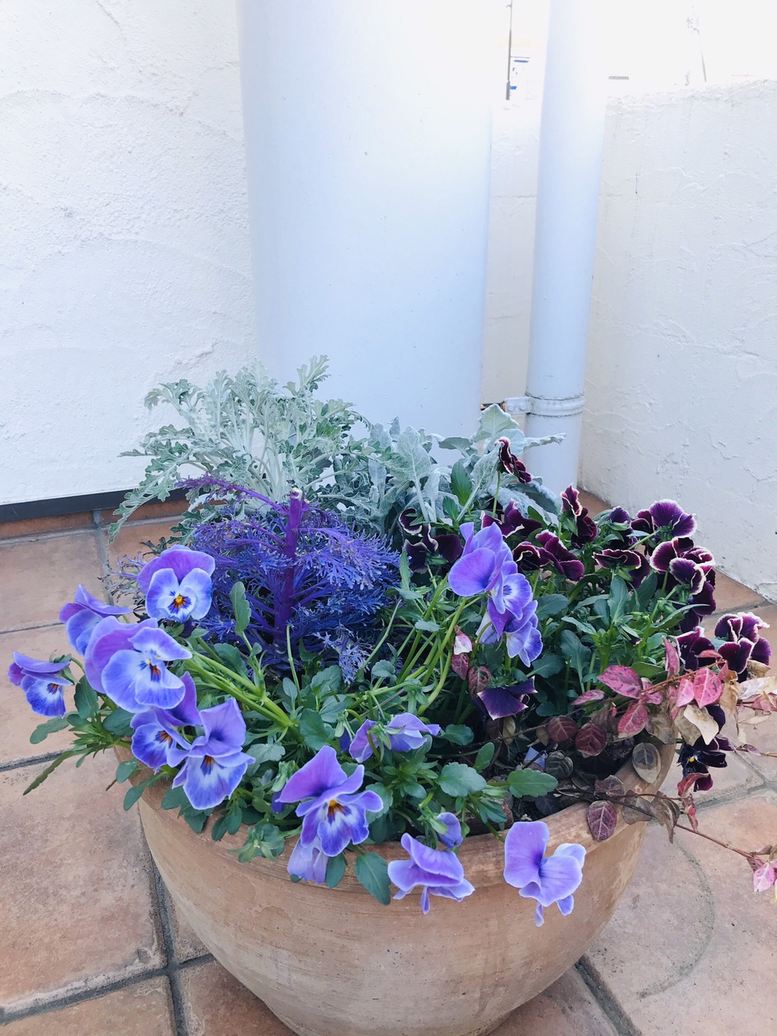 ＜STUDIO＊グリーン＊春到来＞