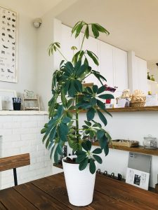 05EF0254-DBB0-42AA-9016-84755464B987