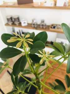 928CD8E4-F2D1-42AC-9CBE-C6EE70CBB175