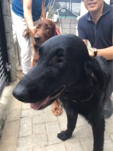 278562B6-CA76-4FB3-B1C4-D78D48AB4332