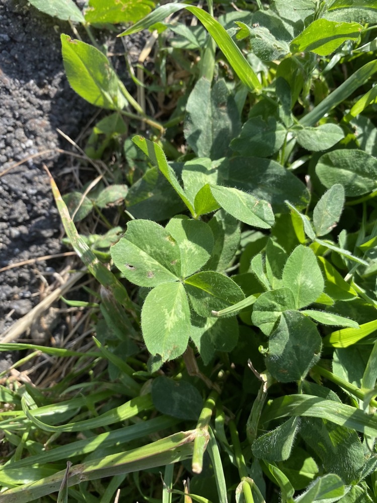 知っていましたか？集中力を司る脳の仕組み①⋆*