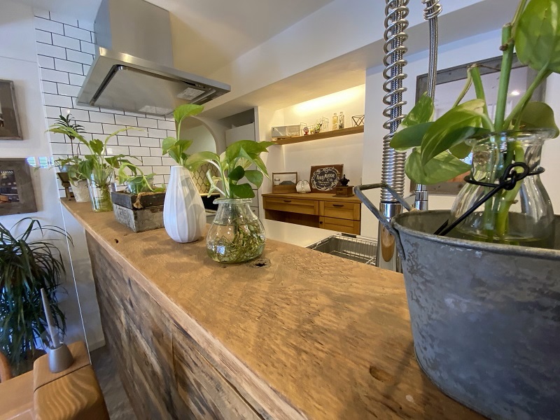 生きていくのは難しい...⋆*