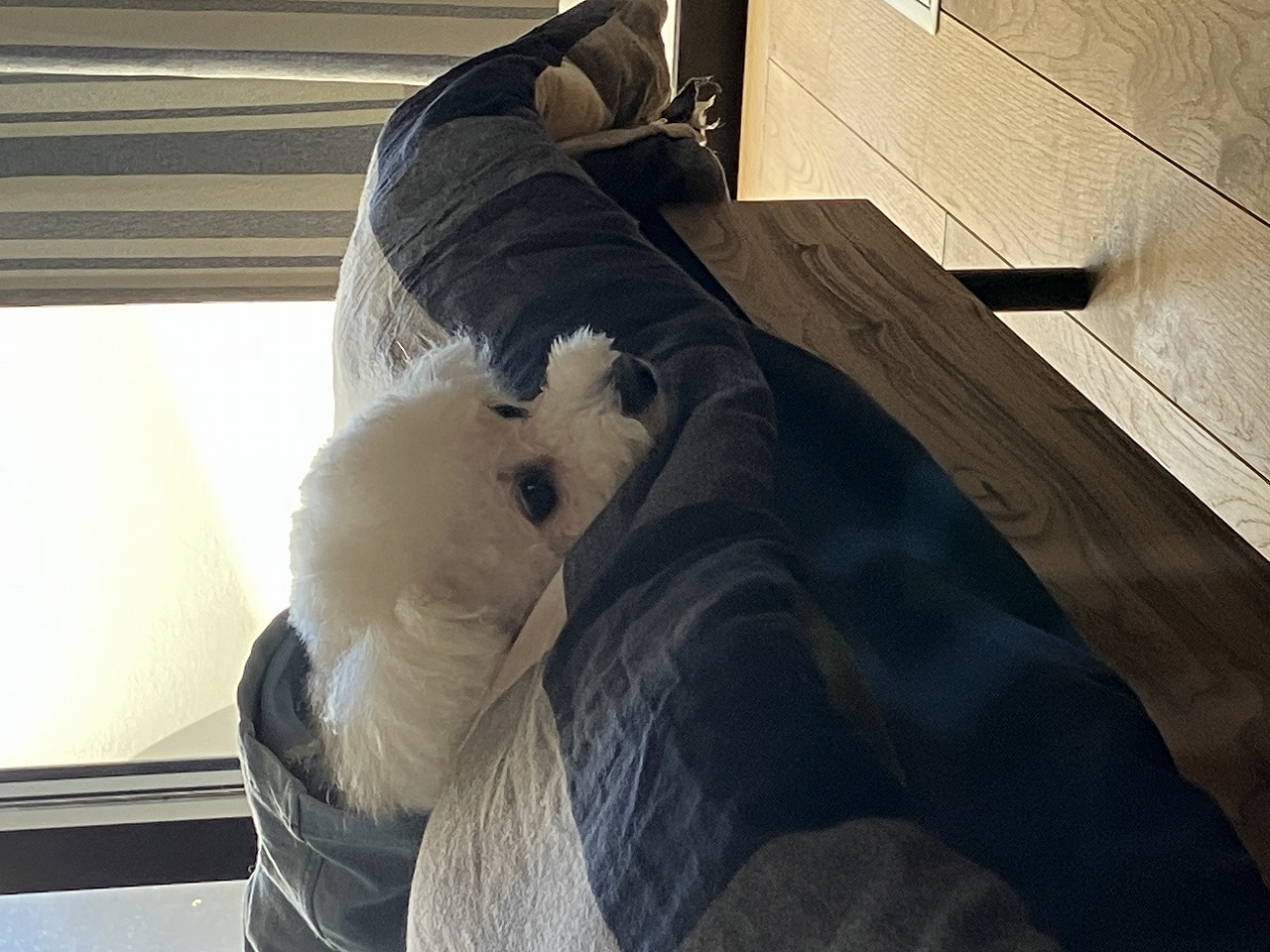 お引渡し後の撮影へ行ってきました！