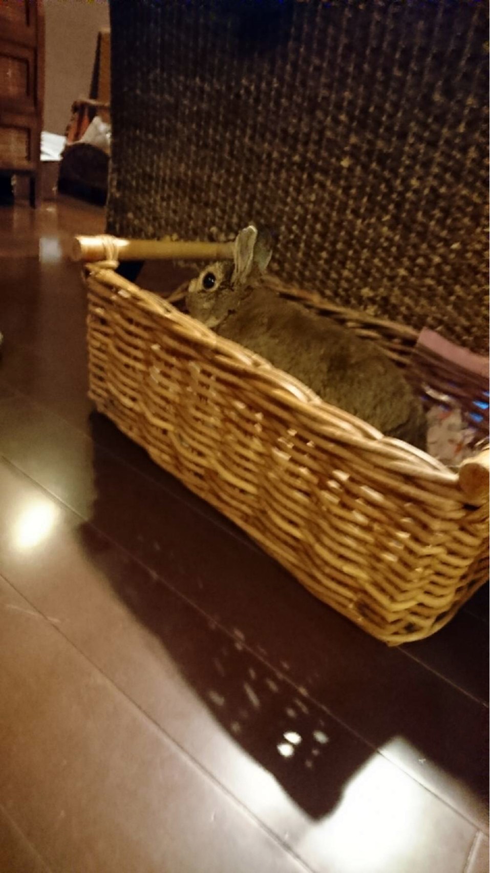 和モダンなおしゃれハウス(余談)