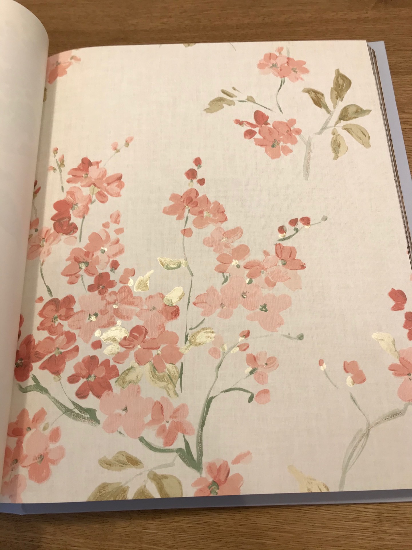 テシードの壁紙（無地編）