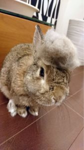 3D0962E4-82B4-4B85-BB5E-F429159DB6C0