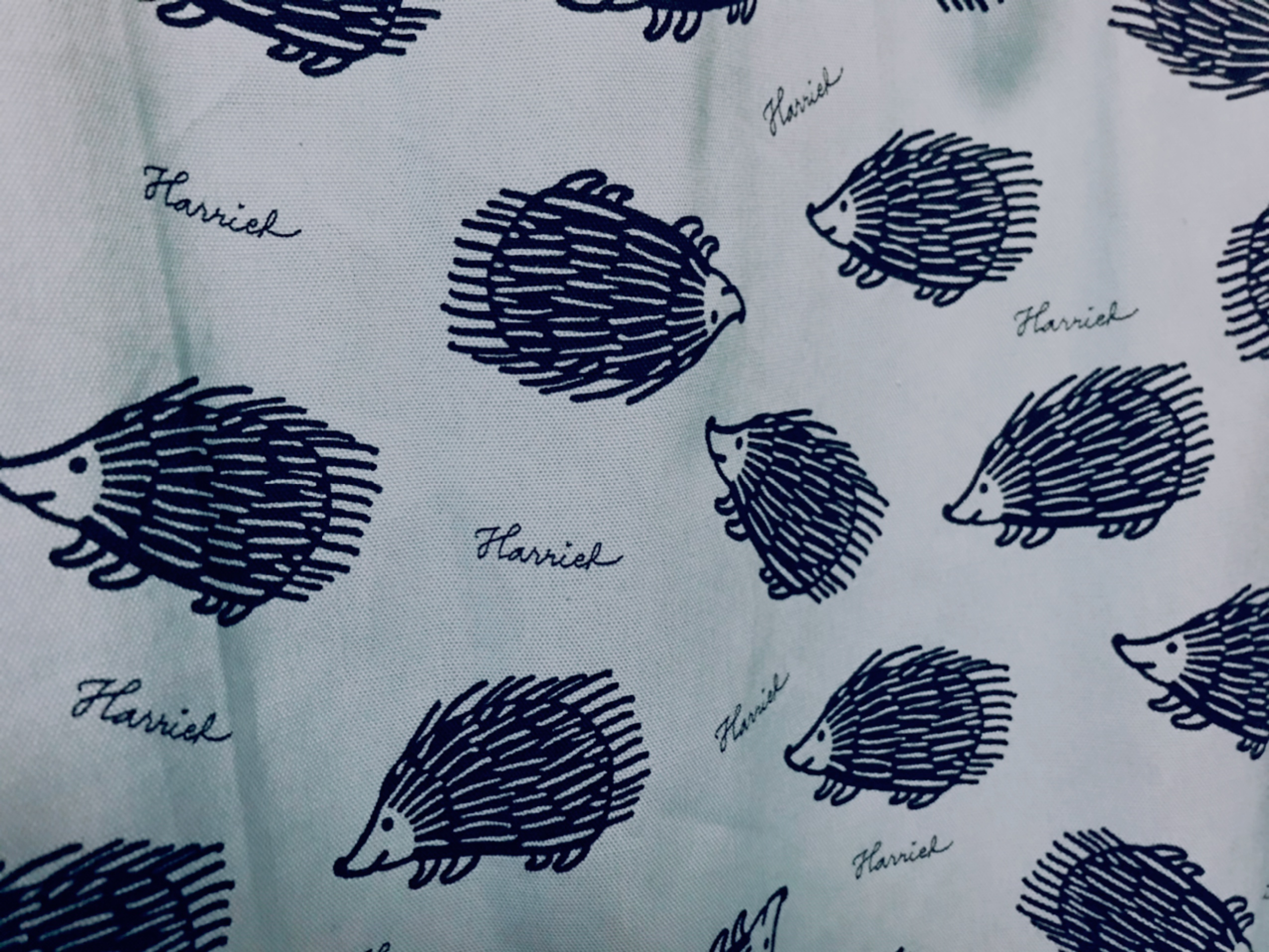 仕事部屋改造計画①カーテン