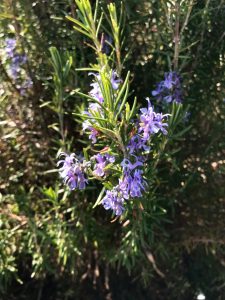 E7F0D039-7961-4CE0-99E4-6E40967EDDDC