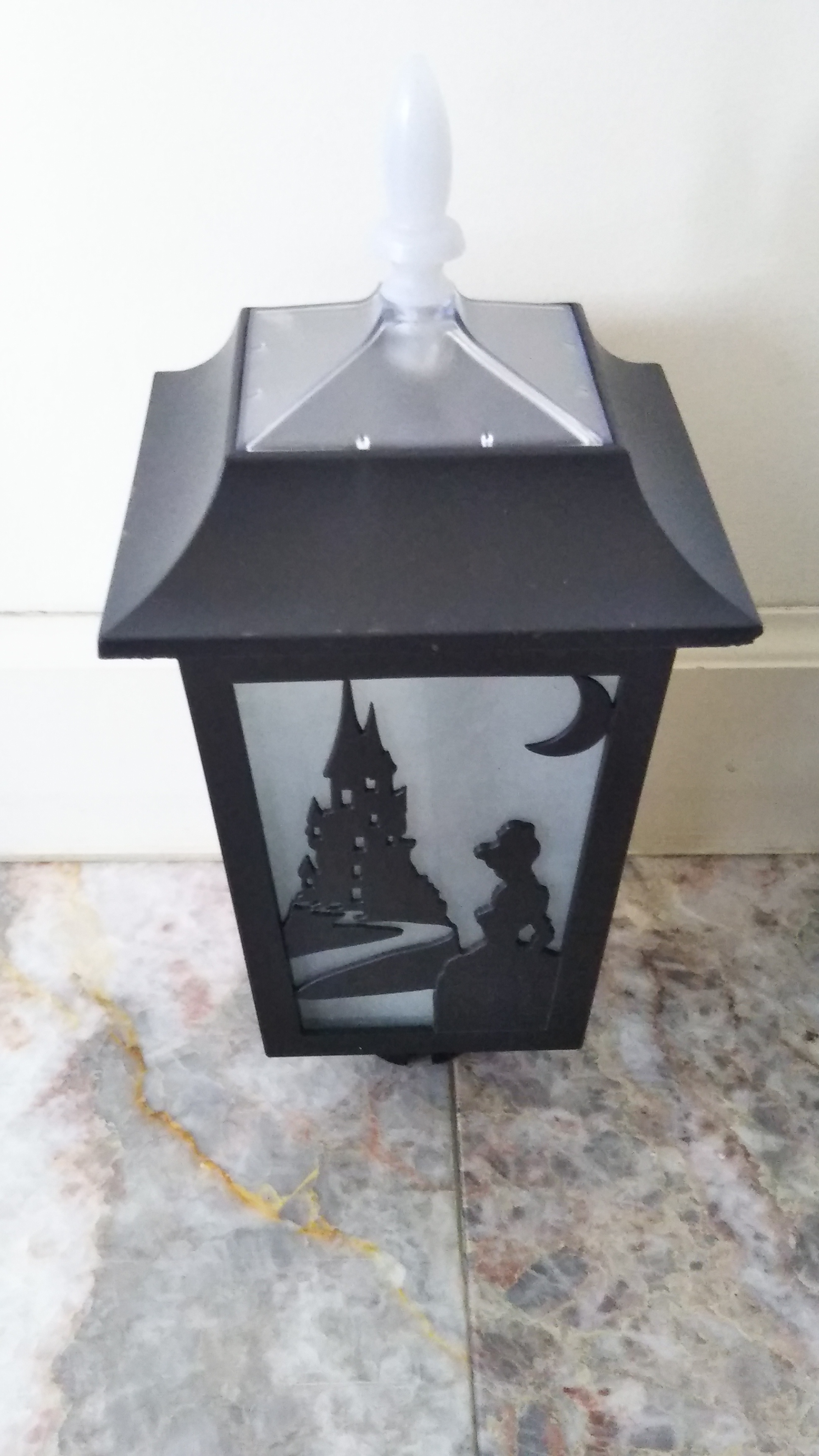 ソーラーライトを見つけました。