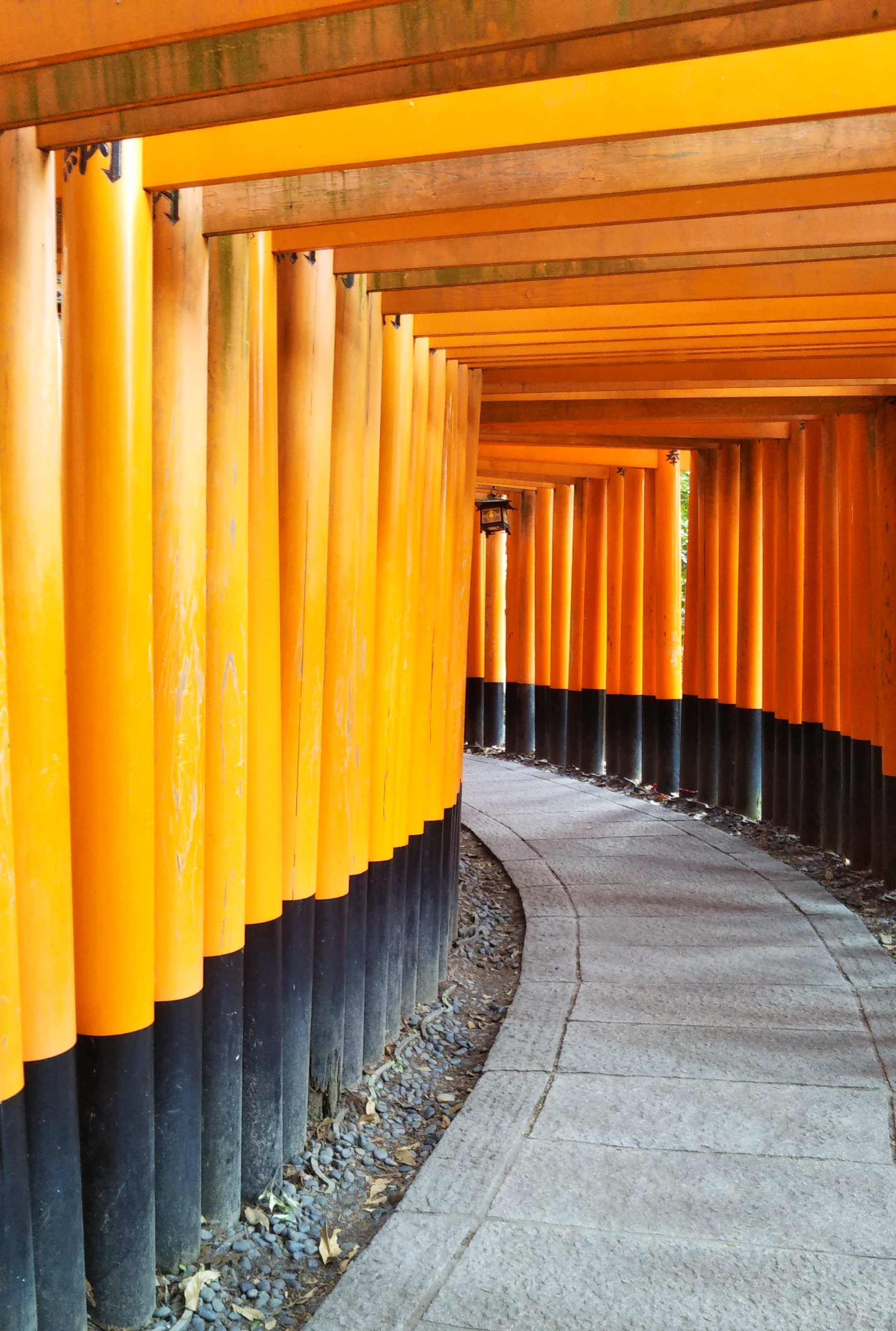 伏見稲荷大社と抹茶パフェ