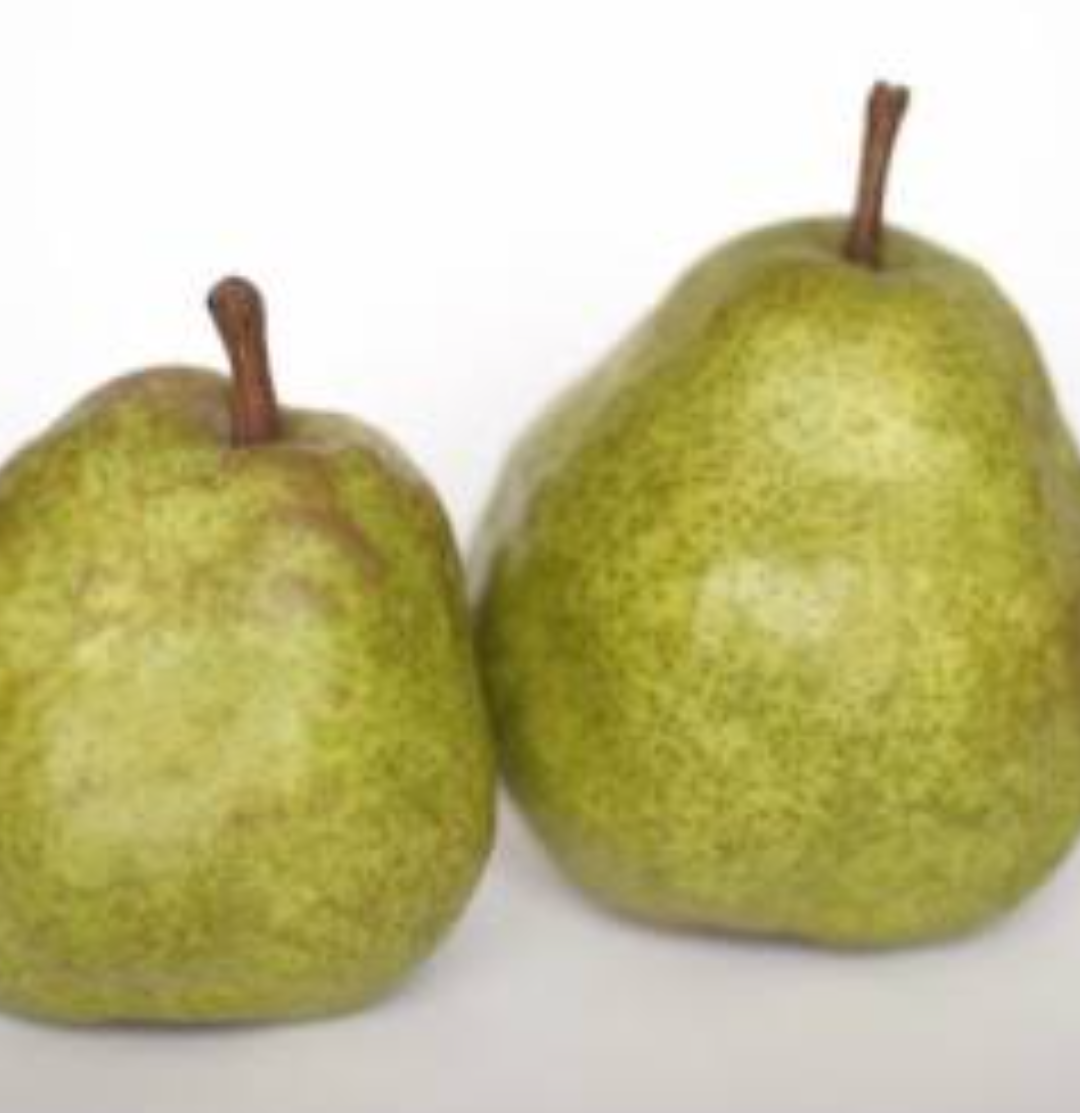 西洋梨とラフランス