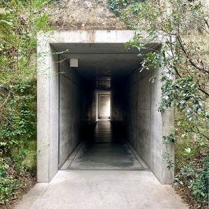 87E505AC-54E4-49D1-971C-DDFD196AA17C