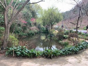 FD228557-31C2-43BC-B8A1-021D0D6A945A