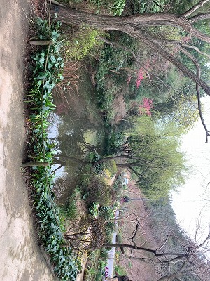 リフレッシュ旅行～直島編～