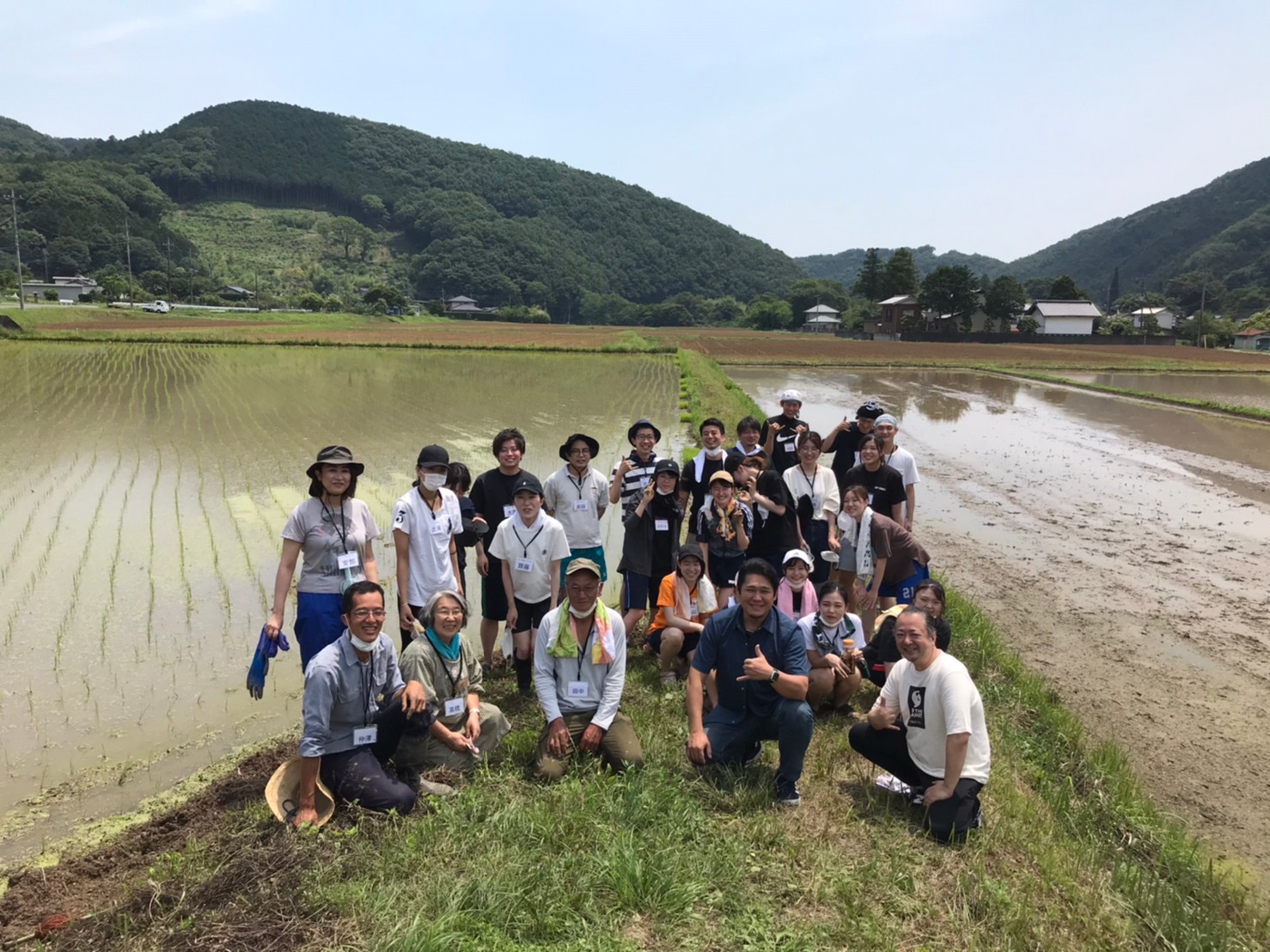 有機栽培の米づくり