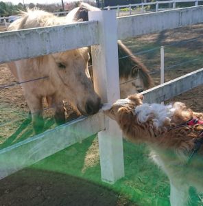 9D28A692-2651-493A-B5AD-8F04E66BE0A9