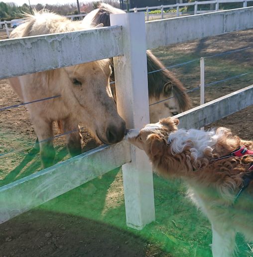 新年のごあいさつ