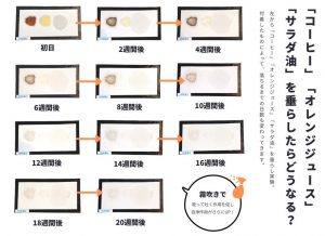 S__6758406 - コピー - コピー