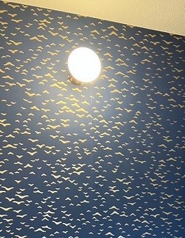 LOHAS studio新練馬店に行ってきました！