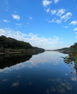 スクリーンショット 2022-07-31 103738