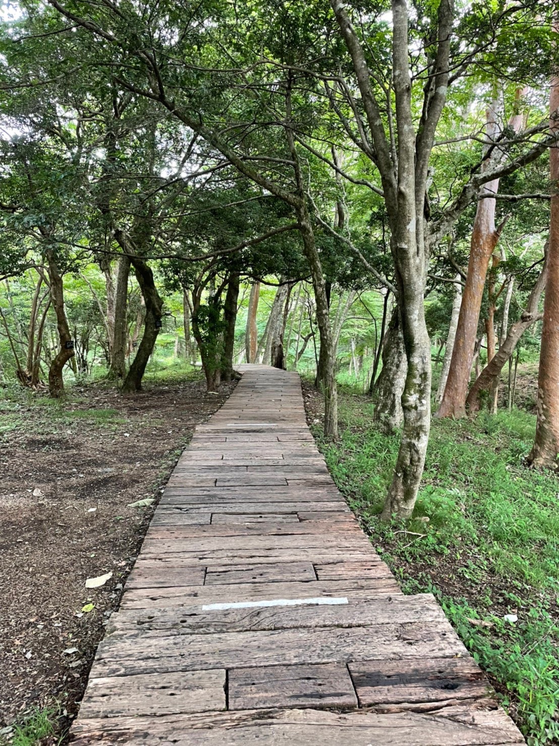 久しぶりに美術館へ