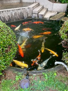 LINE_ALBUM_20250630_250630_2