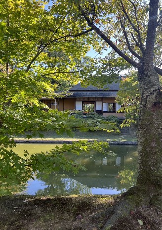 🍂秋の建築ツアー in 滋賀・京都🍁③