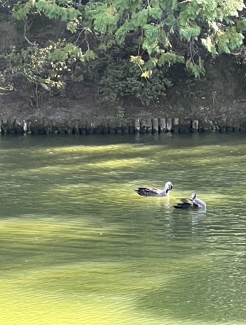&#x1f342;秋の建築ツアー in 滋賀・京都&#x1f341;③