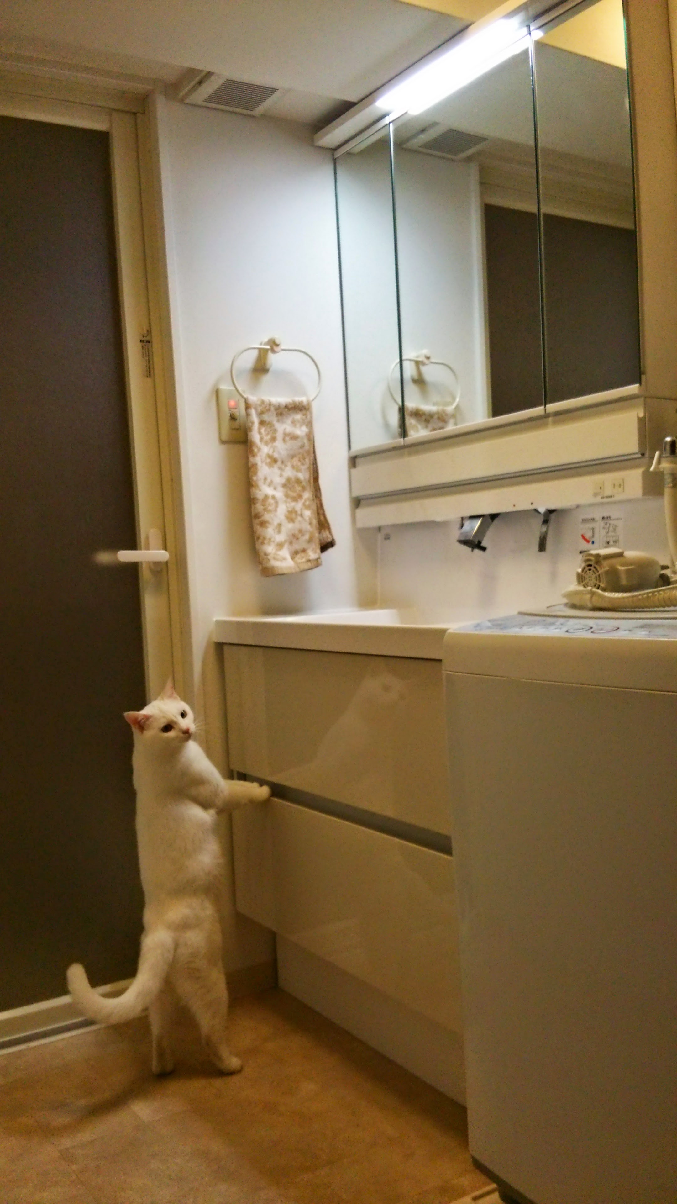 水廻りのリフォーム①自宅Ver.