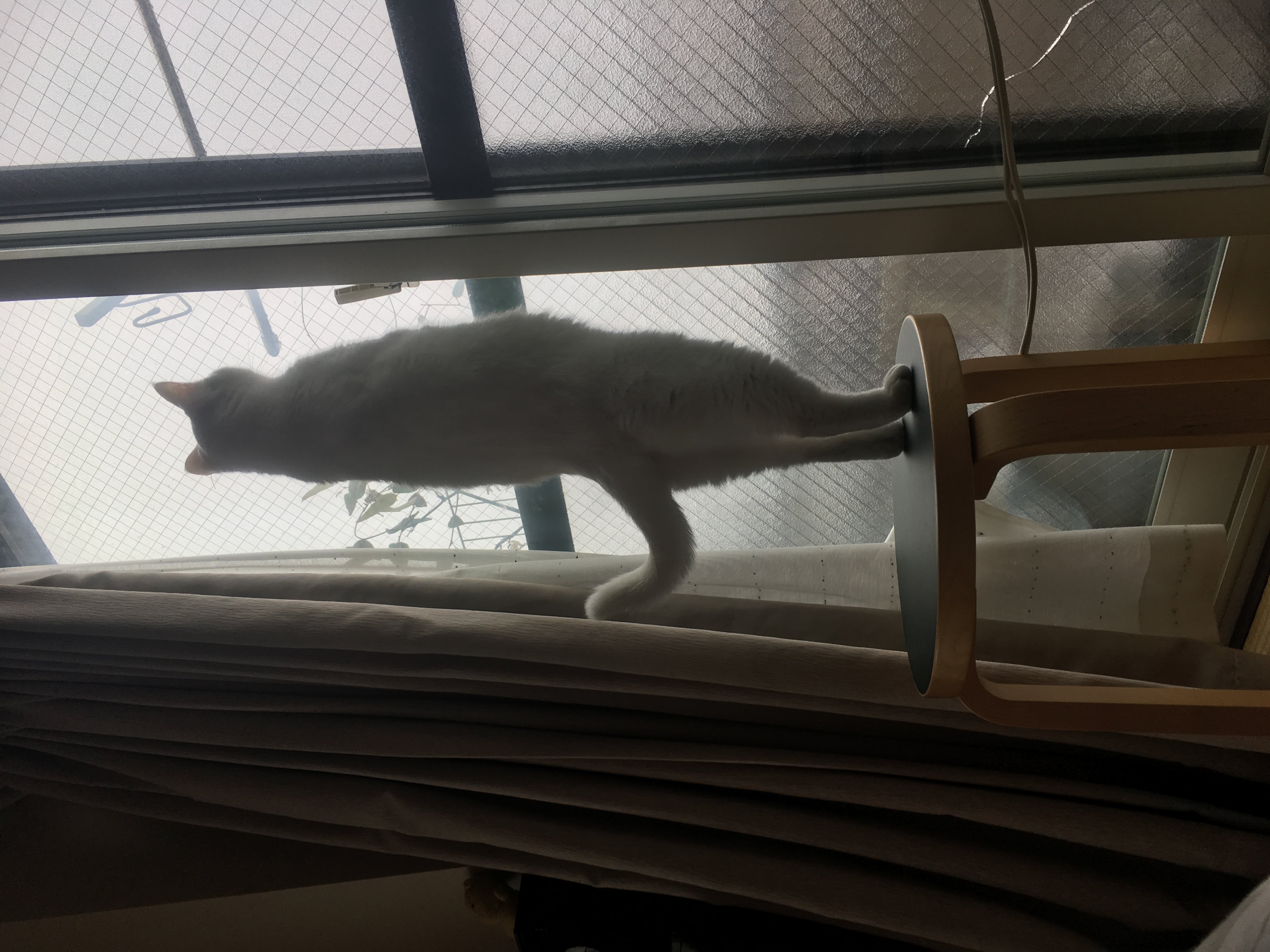 リフォームでは是非取り入れたい！インナーサッシ