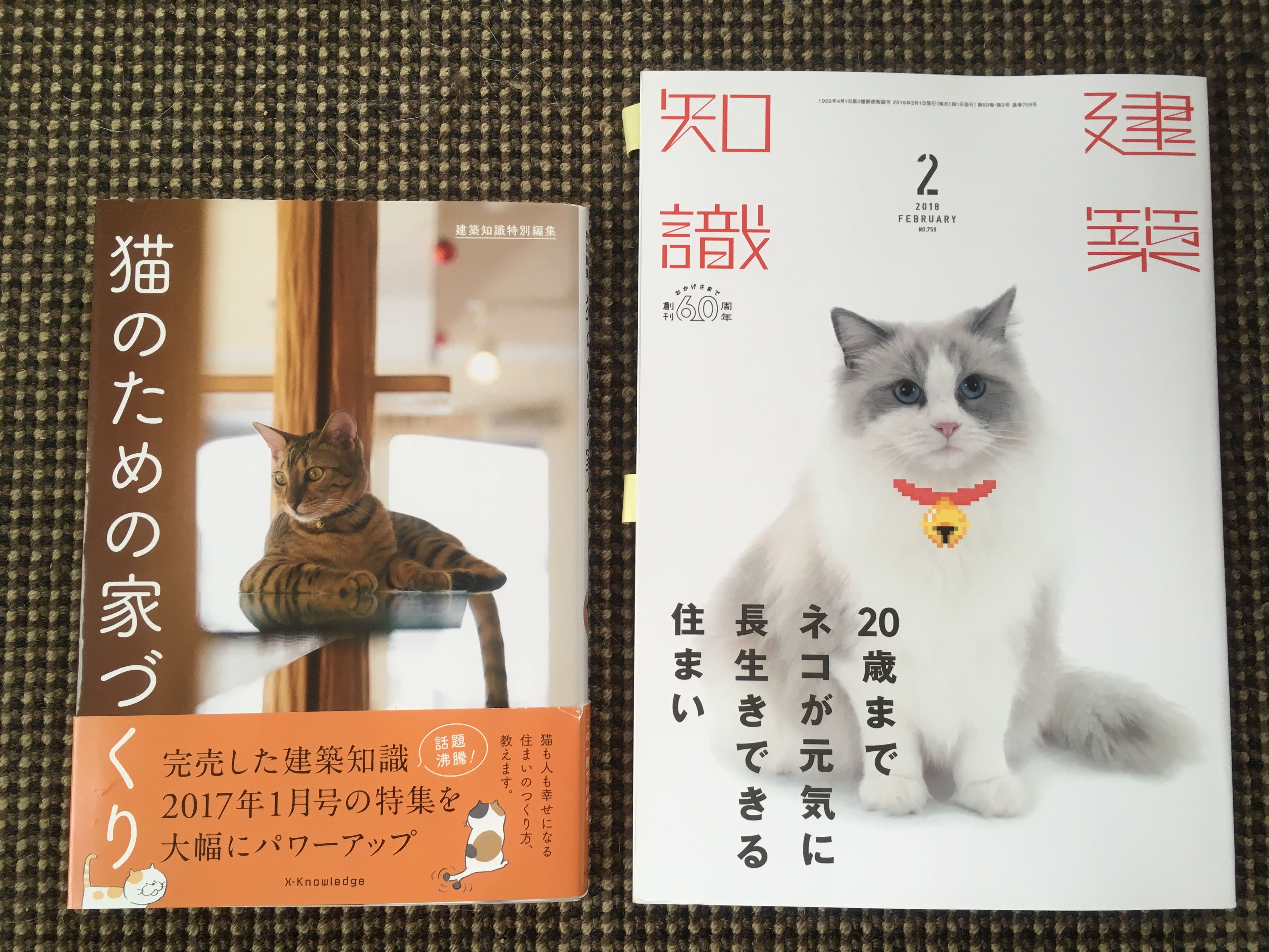 猫との住まい参考書