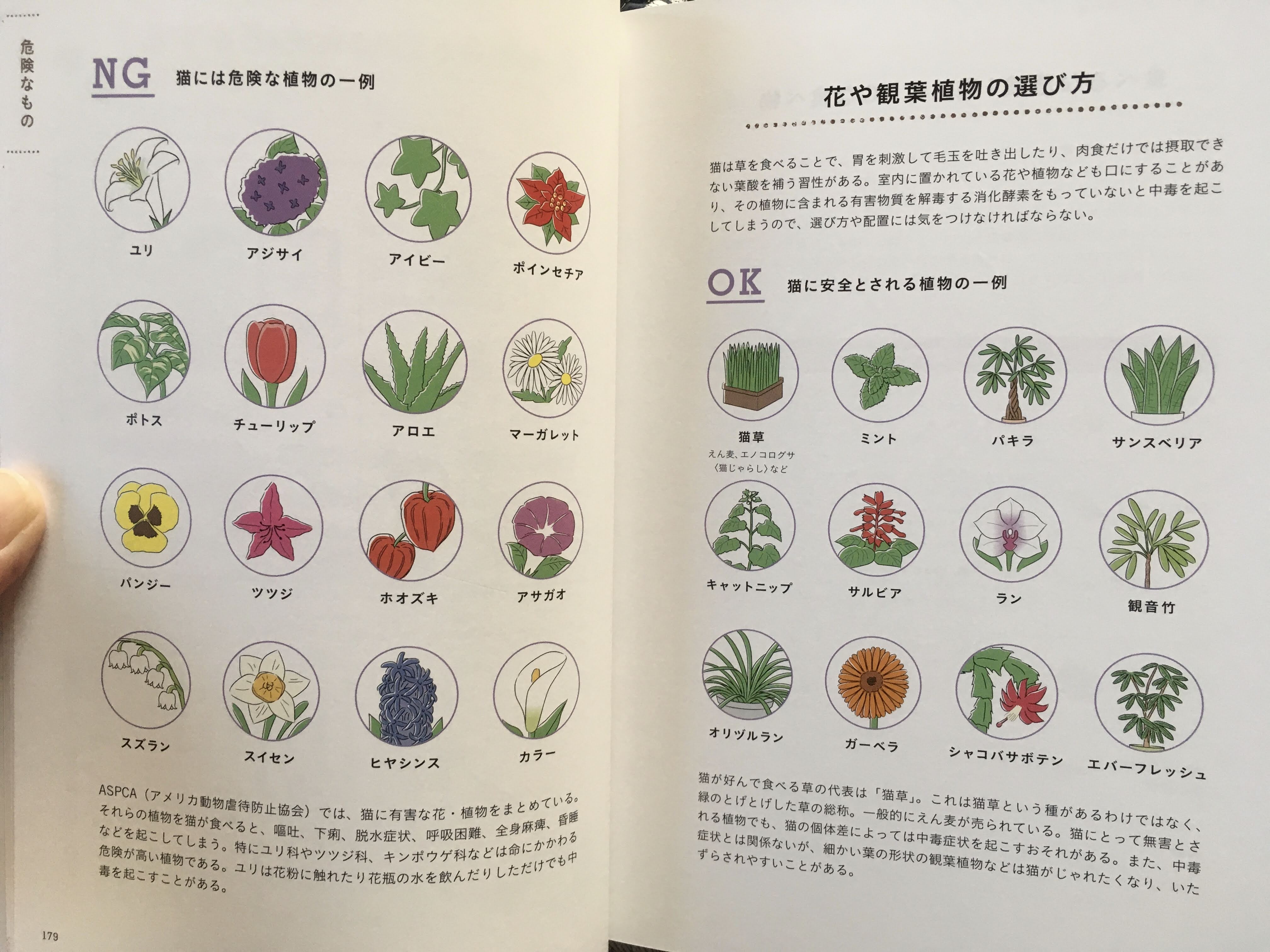 猫との住まい参考書