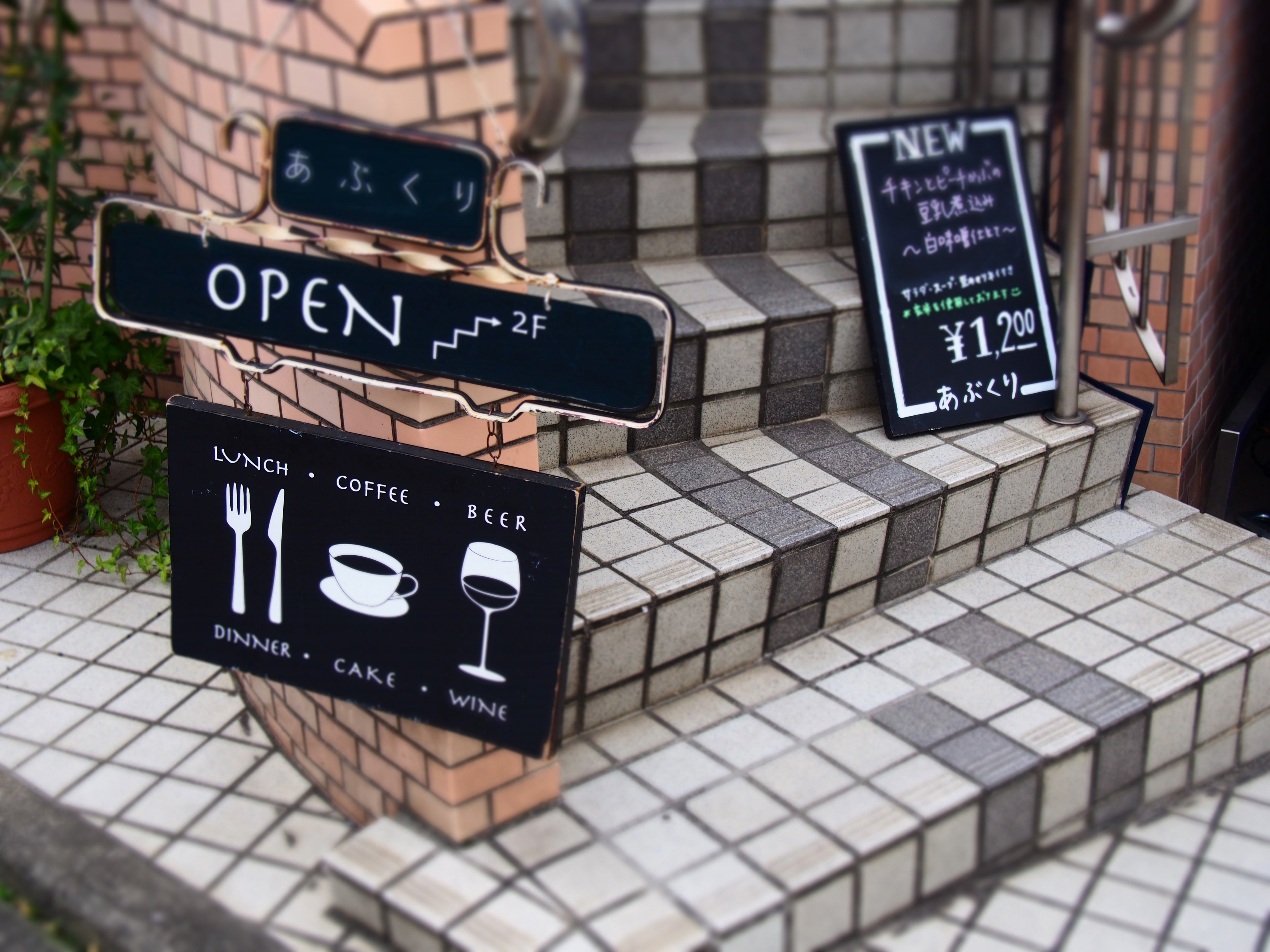 猫と建物を見て回る、雑司ヶ谷巡り