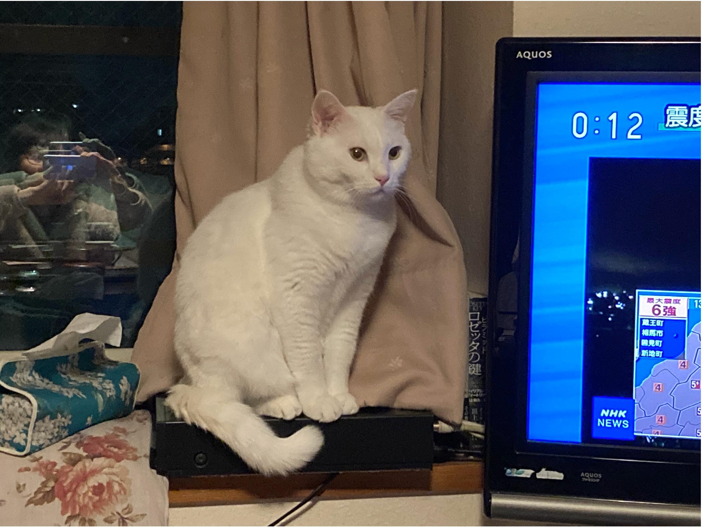 今すぐ必要な防災について