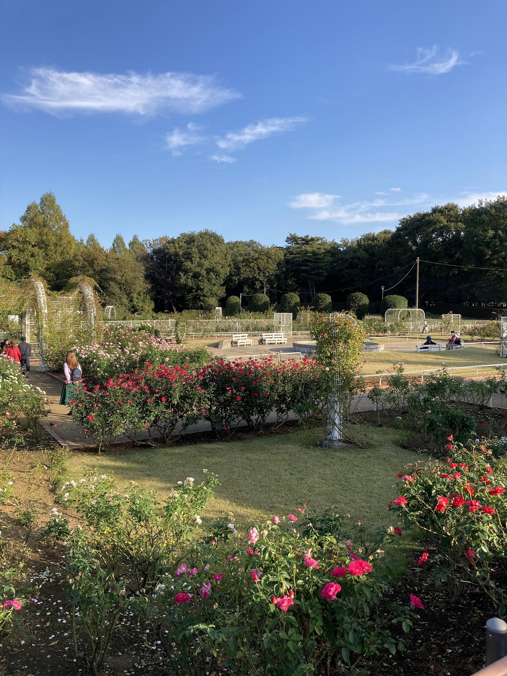 近所にもあったバラガーデン