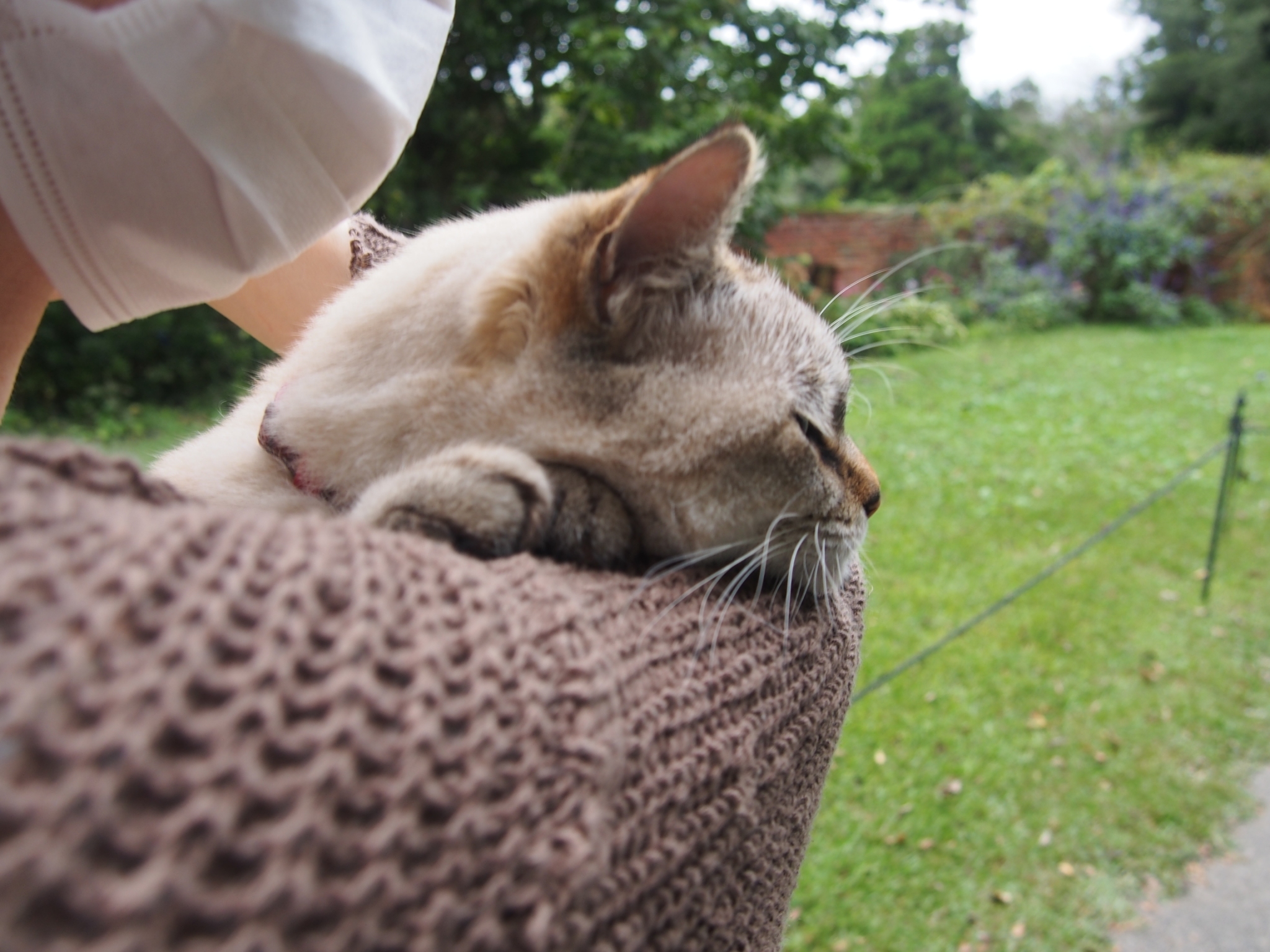 まさに楽園、ドリプレ・ローズガーデン