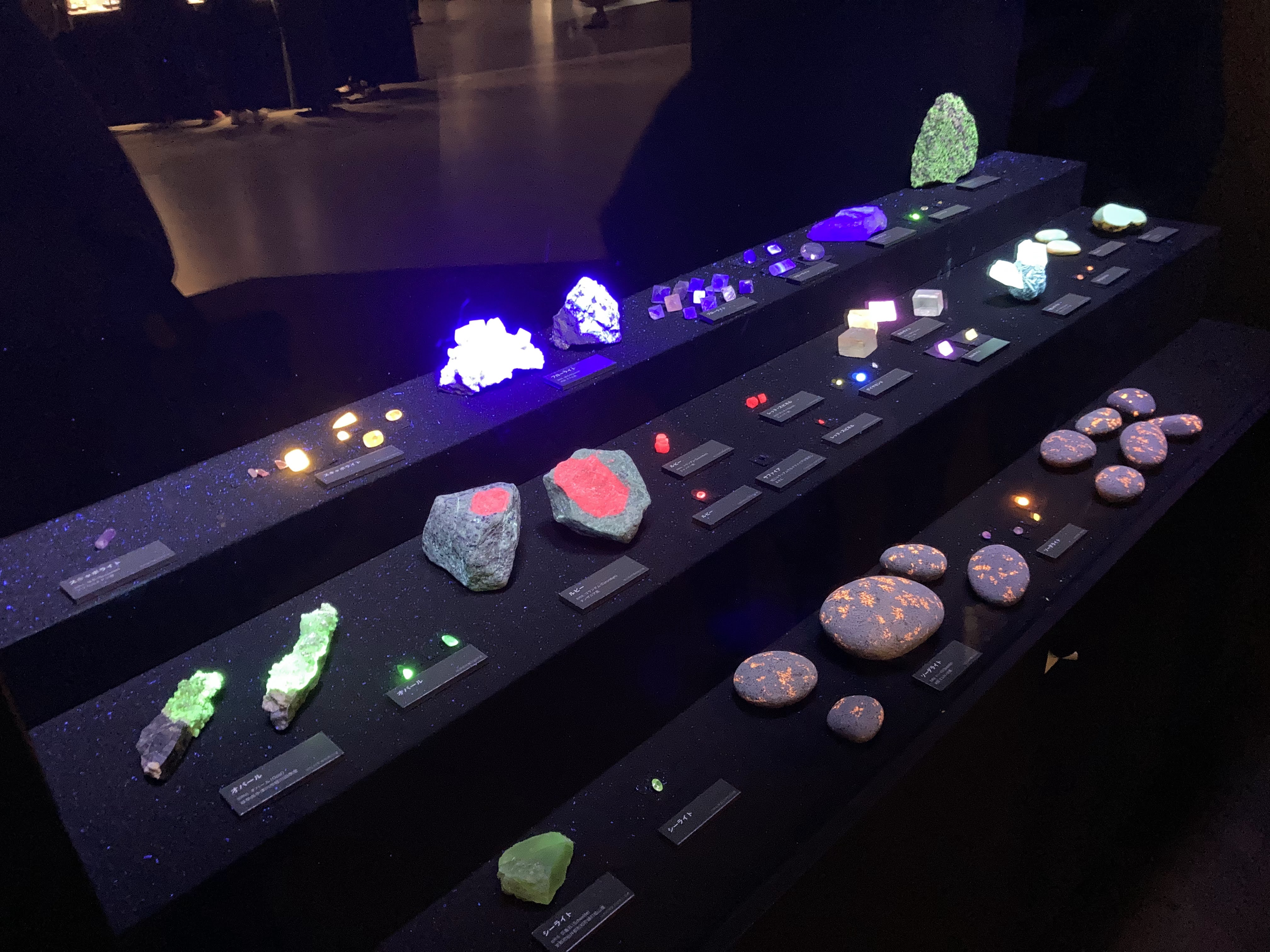 宝石展に行ってきました！