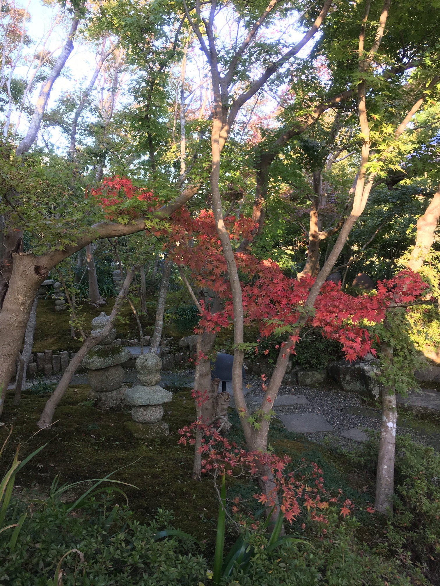 松山庭園美術館