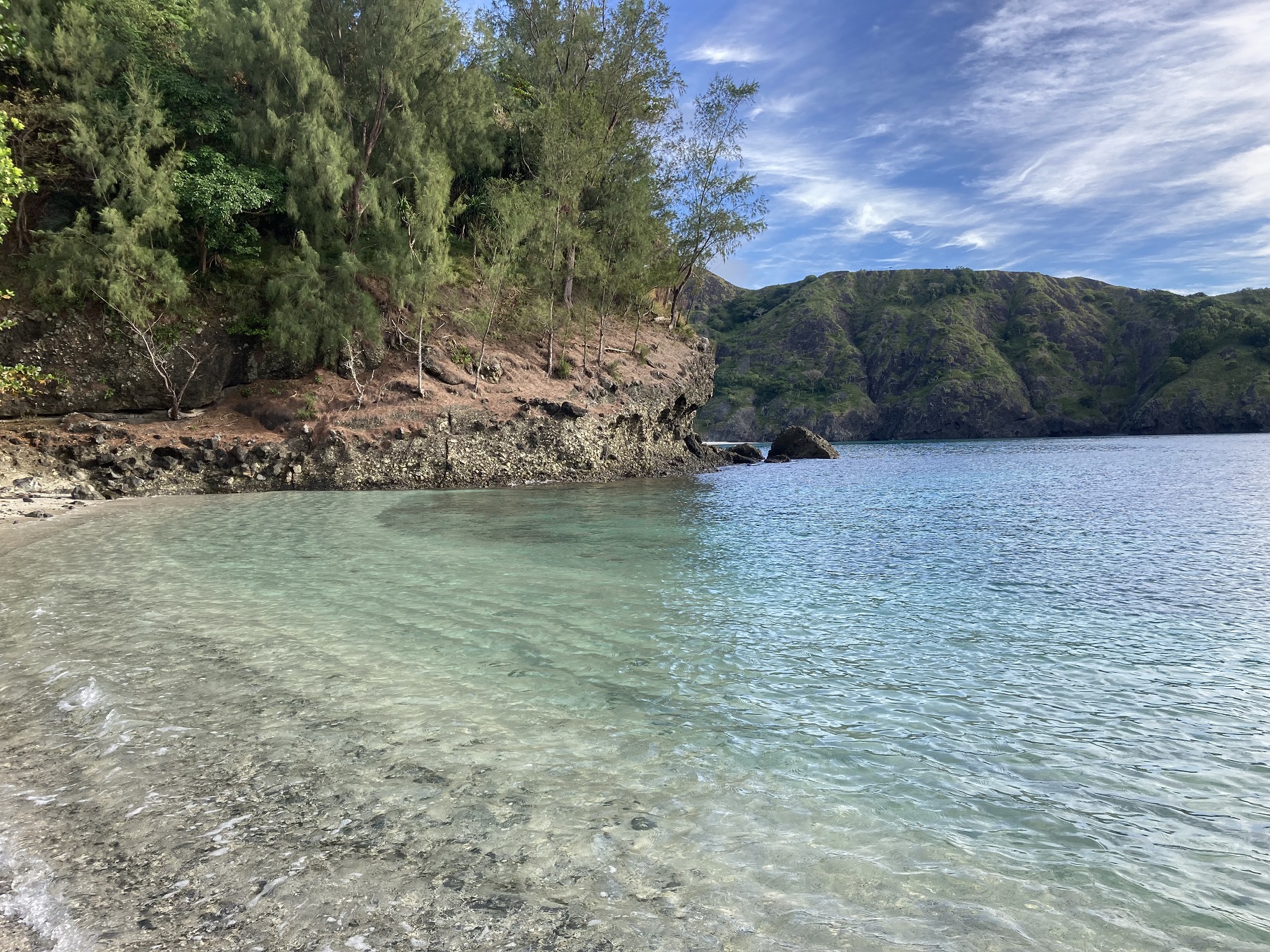 東洋のガラパゴス、小笠原へ