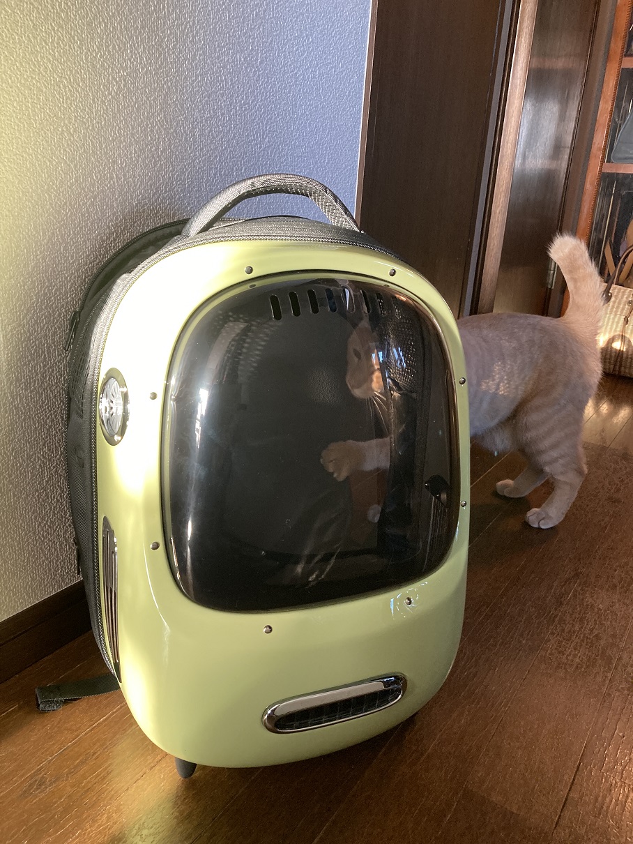 防災を考える～ペット編～