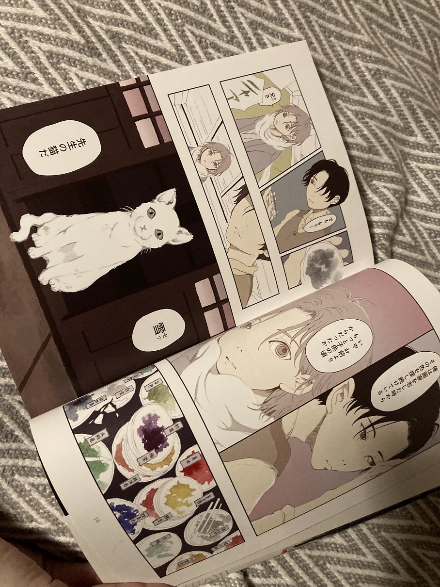 カラーの愉しみ