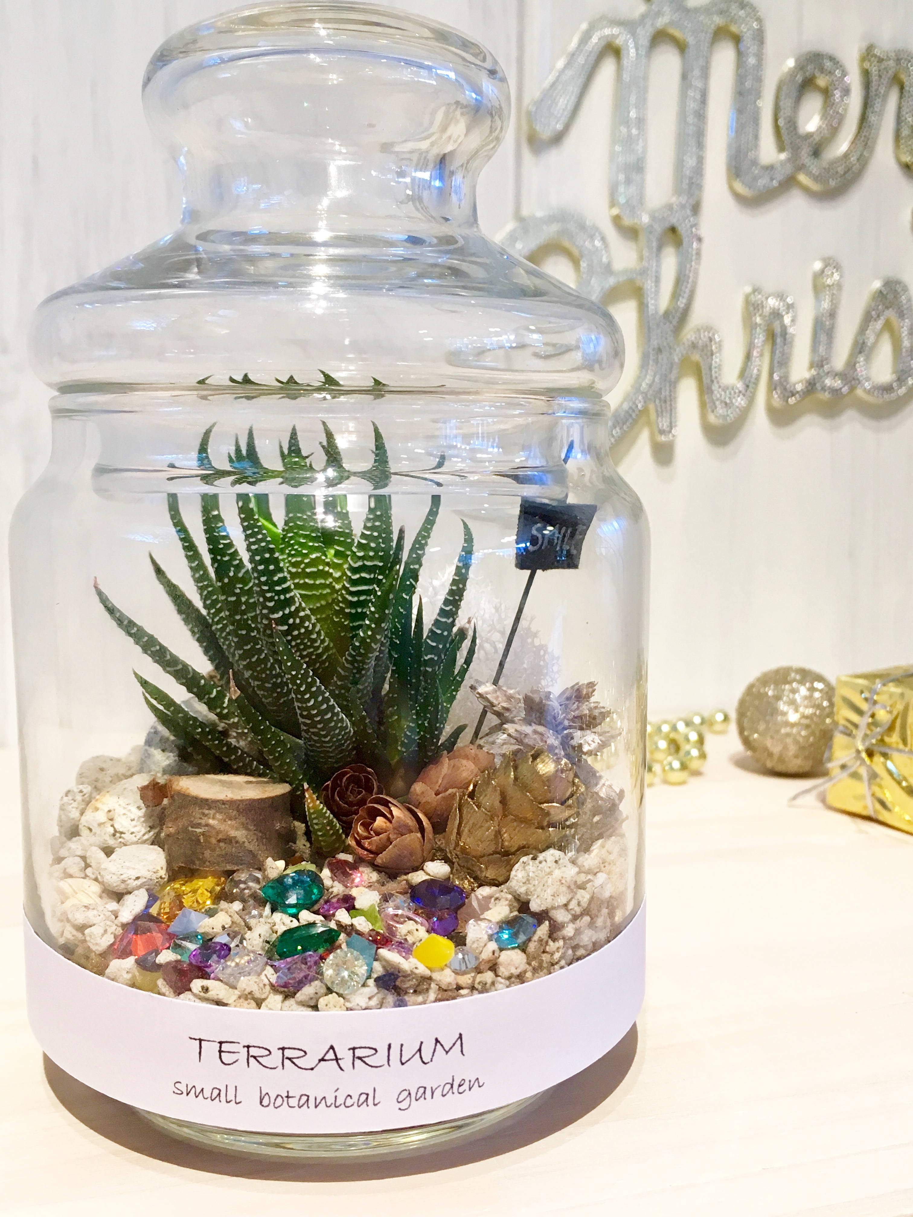 12.6雜願ｰｷWS竭 