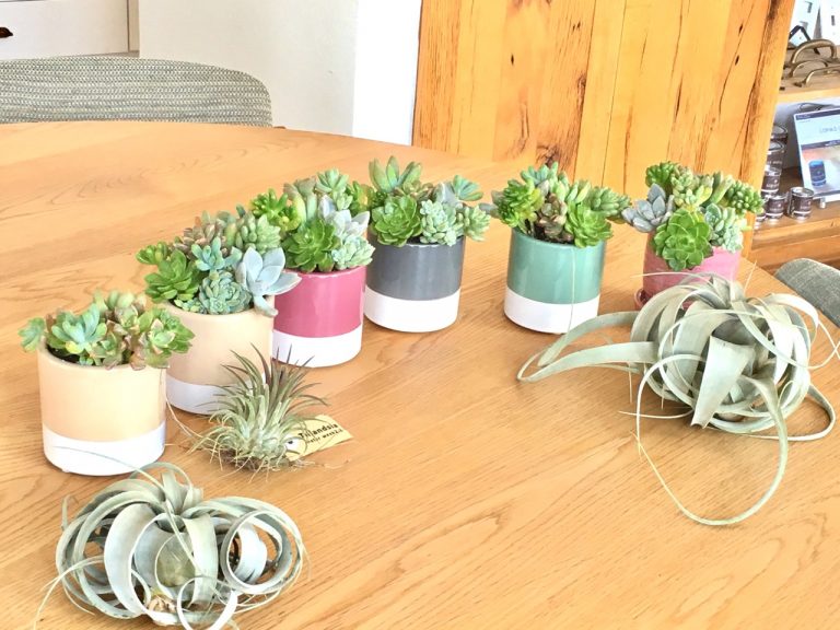 FullSizeR-6-4-768x576