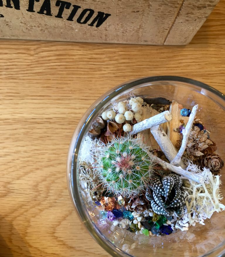 小さなガラスポットに大きな地球への想い★ジュエルテラリウム＠夏休みのワークショップ